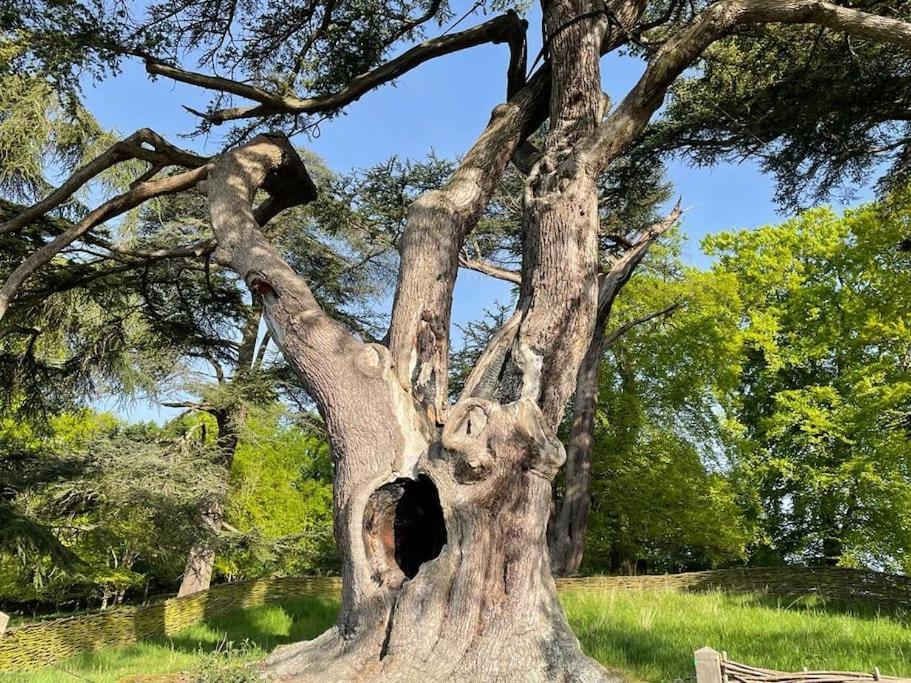 Masons Cottage, An Idyllic Retreat In An Area Of Outstanding Beauty, Close To Blenheim Palace, Oxford & The Cotswolds Stonesfield ภายนอก รูปภาพ